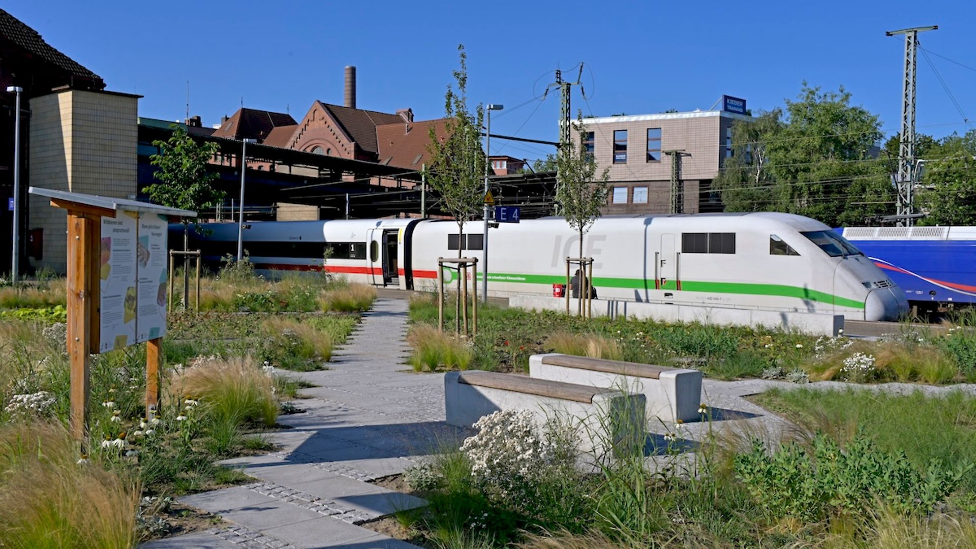 Klimaresilienzmaßnahmen durch Begrünung am Bahnhof in Hamburg-Harburg. 